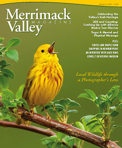 MVM cover